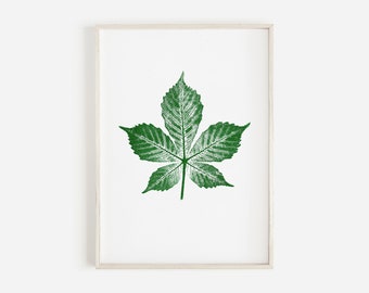 Horse Chestnut Tree Leaf Print in Green | Chestnut Tree Leaf Print | Green leaf print | Green Botanical Print