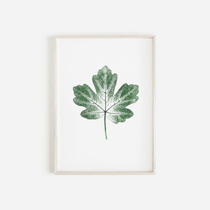 Maple Tree Leaf Art Print Green Maple Pressed Leaf Print Green Botanical Print Personalised Maple Leaf Print. image 1