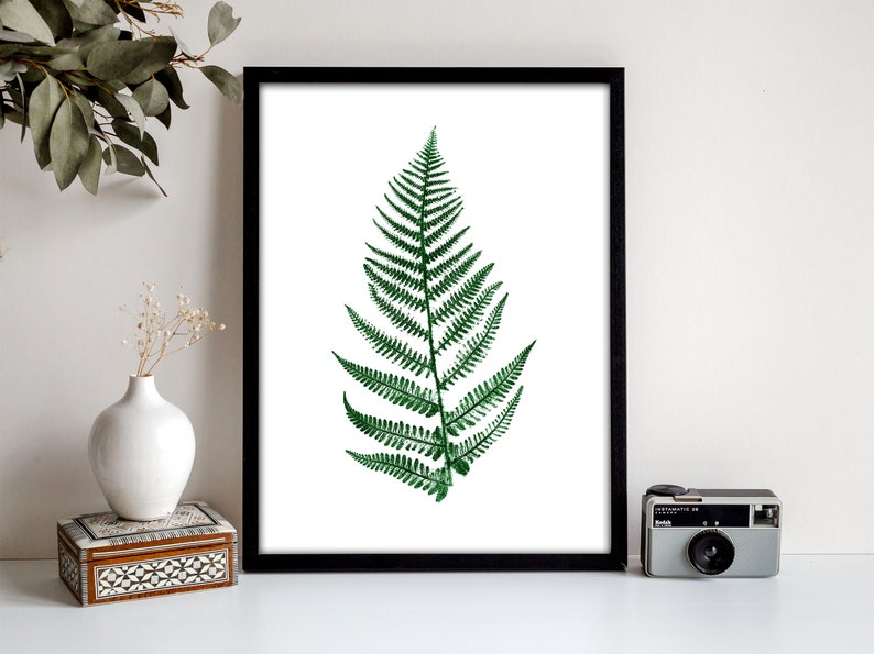 Fern Plant Print in Green Pressed Fern Print Botanical Print Personalised Fern Leaf Print. image 5