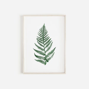 Fern Plant Print in Green Pressed Fern Print Botanical Print Personalised Fern Leaf Print. image 1