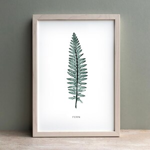 May include: A framed print of a single fern frond in shades of green against a white background. The print is titled "FERN" in black text at the bottom.