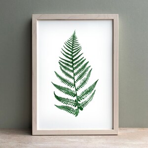 Fern Plant Print in Green Pressed Fern Print Botanical Print Personalised Fern Leaf Print. image 4