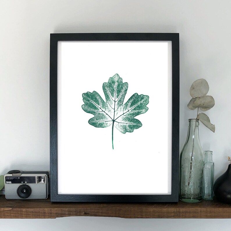 Maple Tree Leaf Art Print Green Maple Pressed Leaf Print Green Botanical Print Personalised Maple Leaf Print. image 3