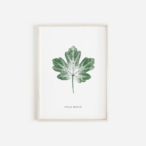 Maple Tree Leaf Art Print Green Maple Pressed Leaf Print Green Botanical Print Personalised Maple Leaf Print. image 2