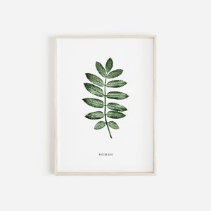 Rowan Tree Leaf Art Print | Green Rowan Pressed Leaf Print | Botanical Art Print | Personalised Rowan Tree Gift.