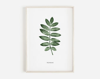 Rowan Tree Leaf Art Print | Green Rowan Pressed Leaf Print | Botanical Art Print | Personalised Rowan Tree Gift.