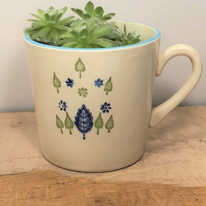 Könnte beinhalten: Eine weiße Keramiktasse mit blauem Rand und einem floralen Muster in Grün und Blau. Die Tasse ist mit einer Sukkulentenpflanze gefüllt.
