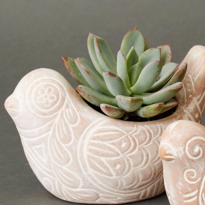 Terracotta Bird Planters Set