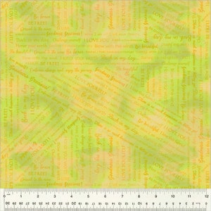 Goodness Gracious - Collaged Phrases - By Laura Heine For Windham Fabrics - Sold By Yard Cut Continuous - In Stock Ships Today