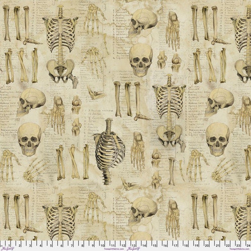 Laboratory Canvas - Anatomy - By Tim Holtz For FreeSpirit Fabrics - Sold By The Continuous Yard - In Stock And Ships Today
