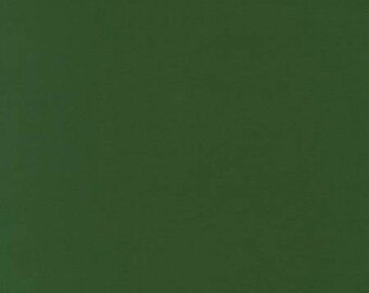 Pode incluir: Fundo verde escuro sólido. A imagem é um close-up de uma superfície plana e fosca em um tom profundo de verde. A cor é consistente em toda a moldura, sem textura ou padrões visíveis.