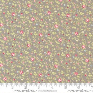 Ellie - Pebble Small Floral - By Brenda Riddle Designs For Moda Fabrics - Sold By The Yard - In Stock Ships Today