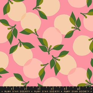 Può includere: Uno sfondo rosa con un motivo ripetitivo di cerchi sovrapposti di colore crema e foglie verdi. I cerchi e le foglie sono stilizzati e astratti.