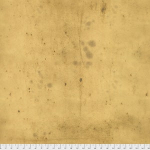 Provisions - Tonal, Amber by Tim Holtz for Free Spirit - Sold by the Yard & Cut Continuous - Ships Today