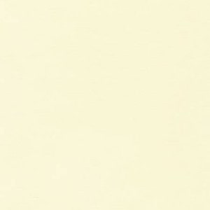 May include: A plain, off-white background.