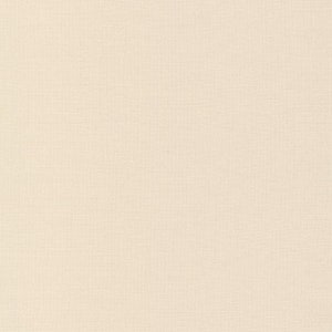 Pode incluir: Um fundo liso de cor branco-creme com uma textura sutil.