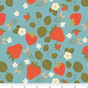 Sunkissed - Summer Picnic - By Amicreative For Phoebe Fabrics - Sold By Yard And Cut Continuous - Ships Today