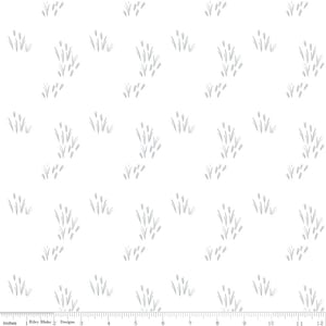 Hush Hush 3 - Cattail The Difference - By Simple Simon & Company For Riley Blake Designs - Sold By The Yard - In Stock And Ships Today
