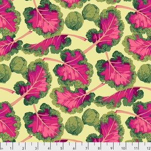Free Spirit Color Fusion by Laura Hine Alyssum In Stock and Ships Today Sold by the Full-Yard and cut Continuous Coral