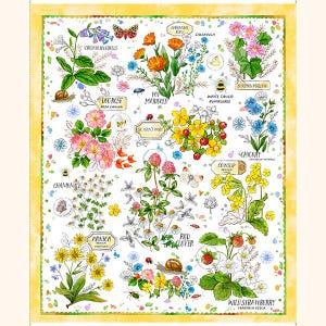 Healing Garden - 36&quot; Panel - by Jane Maday For QT Fabrics - Sold By The Panel - In Stock Ships Today
