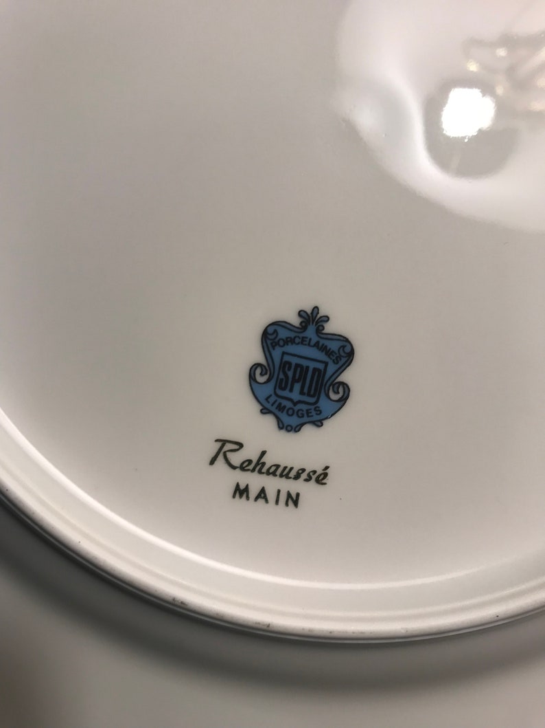 Limoges Rehausse Main Porcelain Hand Painted Plate. 9 Etsy