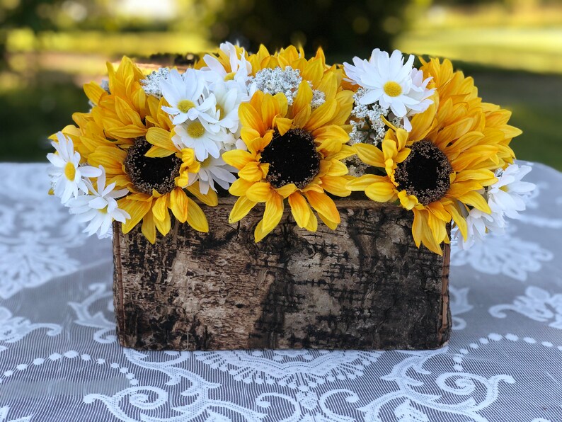 Rustic Planter Box Birch Vase Birch Bark Container Birch Etsy