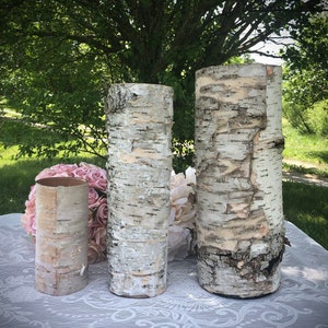 12, 14, 16 inch birch bark vases for wedding Personalized wedding gift for couple Tall wedding centerpieces for table Sweetheart table decor image 9