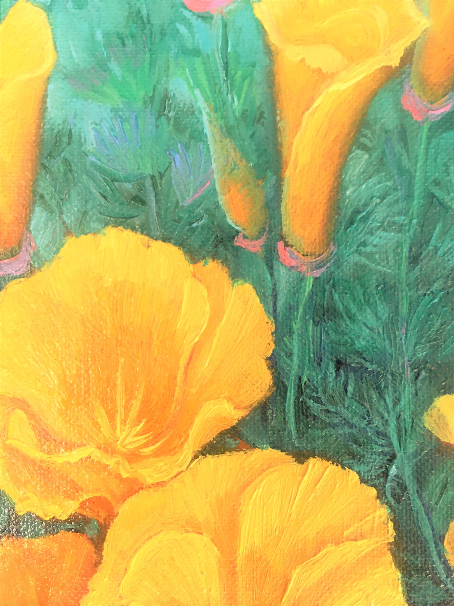 California Yellow Poppy. Original Oil Painting. Fine Art. Etsy