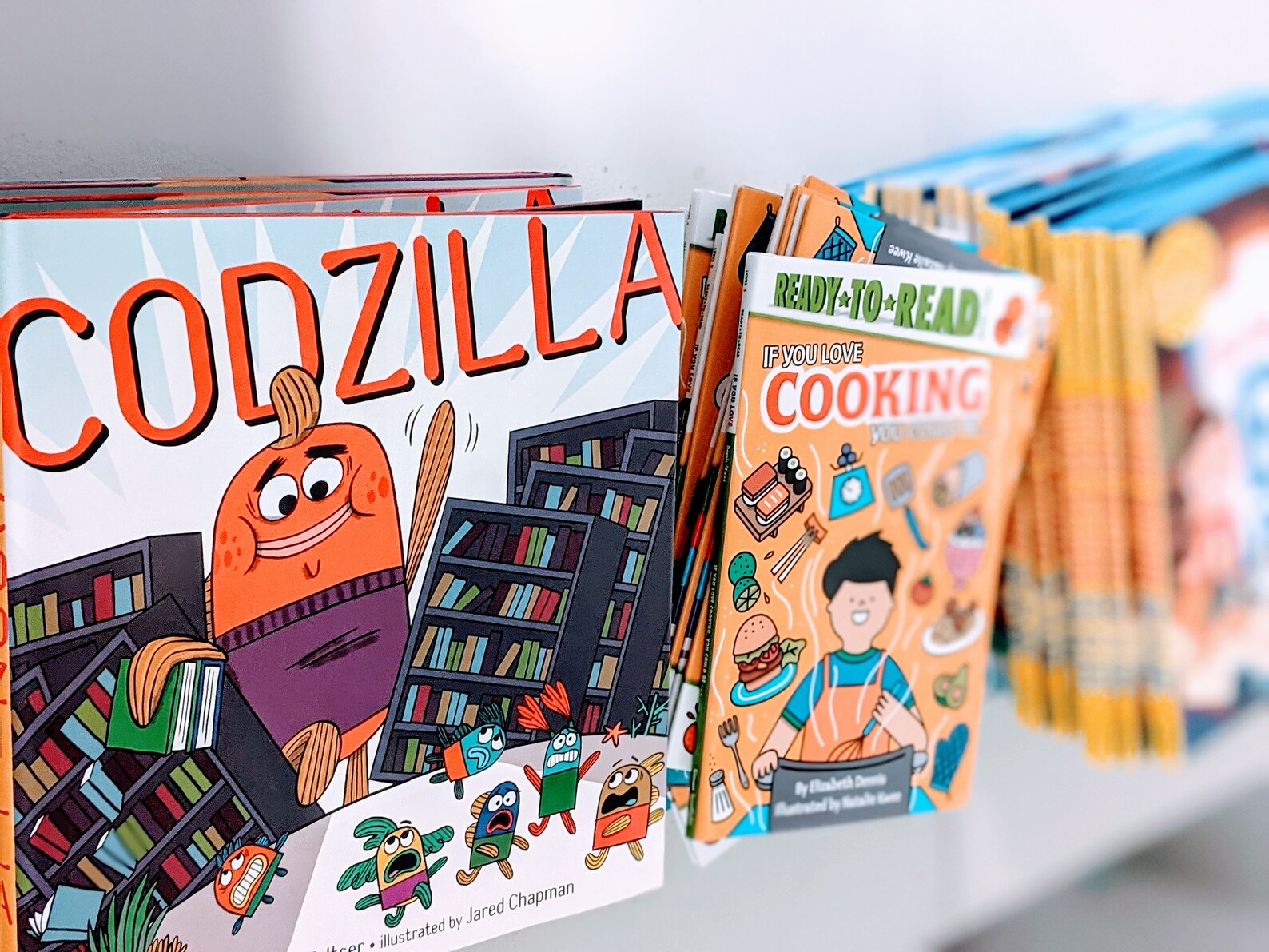 Lot of 10 Bulk Children's Books For Boys LEVEL 2 Age 57 Etsy
