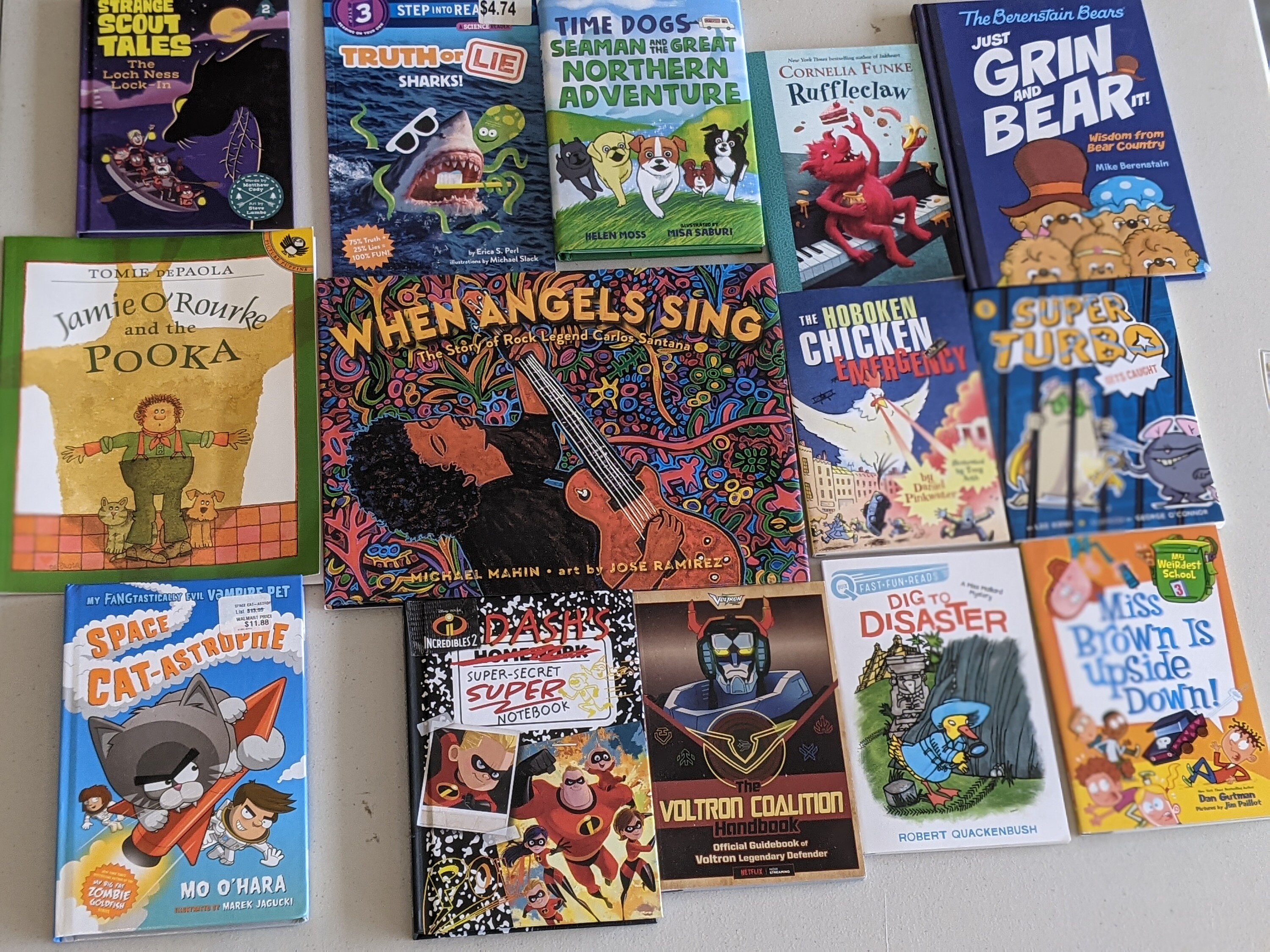 Lot of 10 Bulk Children's Books For Level 3 Boys Chapter Etsy