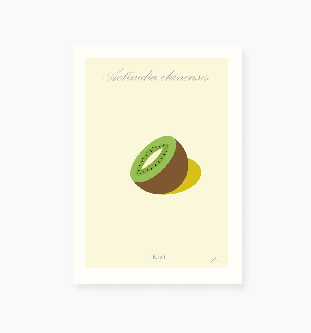 Botanical Printk, Kitchen Wall Decor, Kiwi Vintage Illustration | Frame Not Included