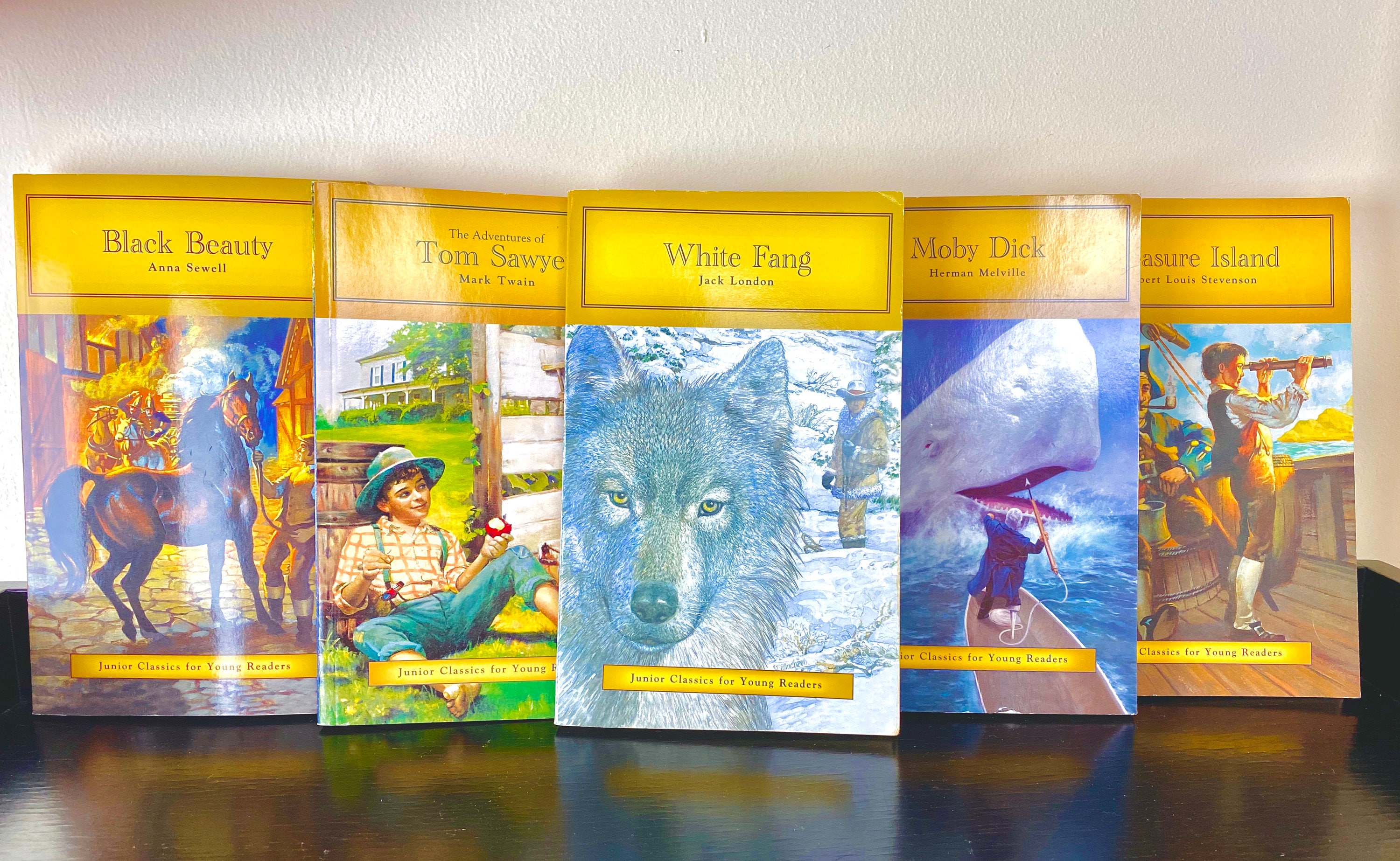 Junior Classics for Young Readers Set of 5 Paperback VG Etsy