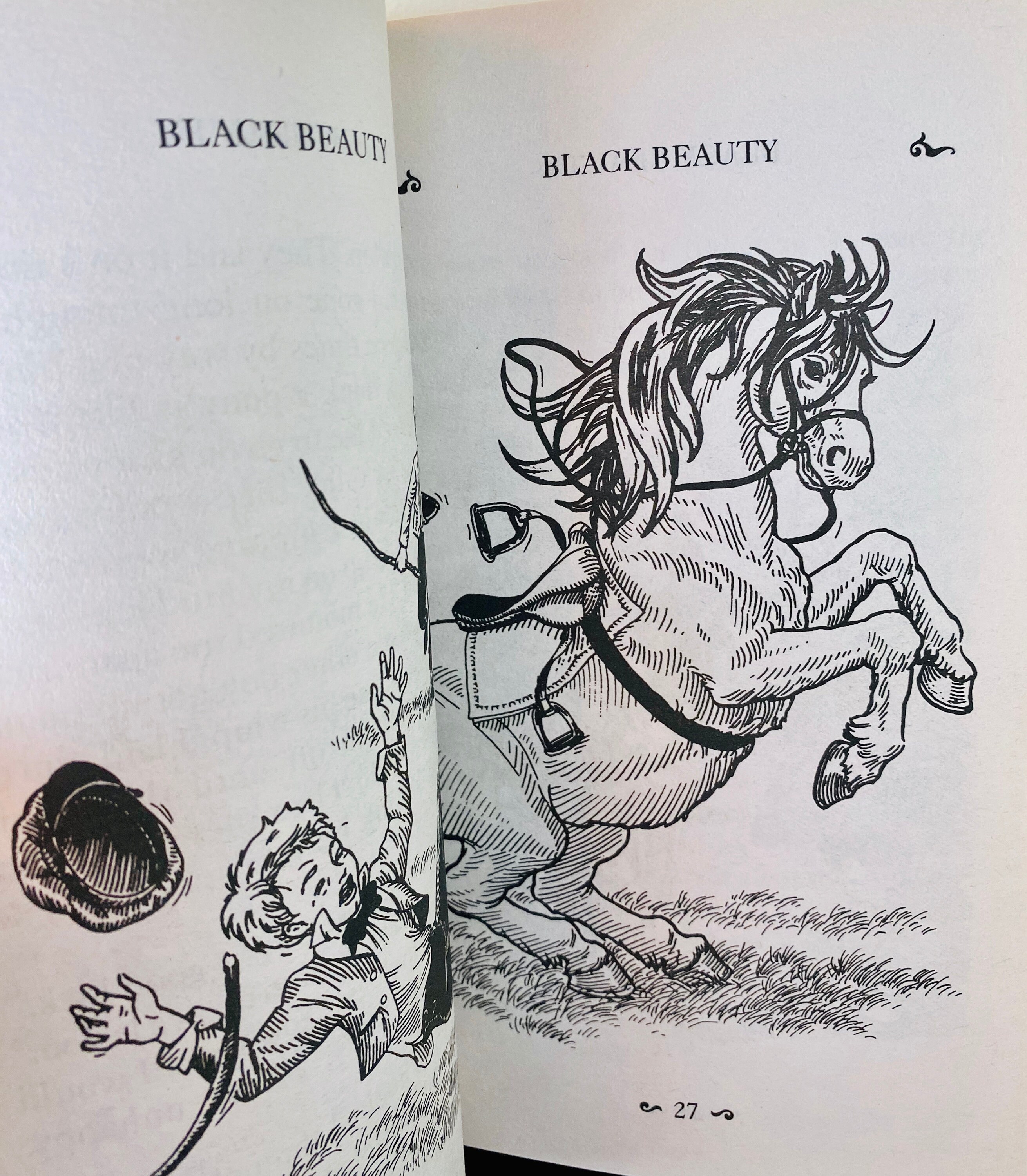 Junior Classics for Young Readers Set of 5 Paperback VG Etsy