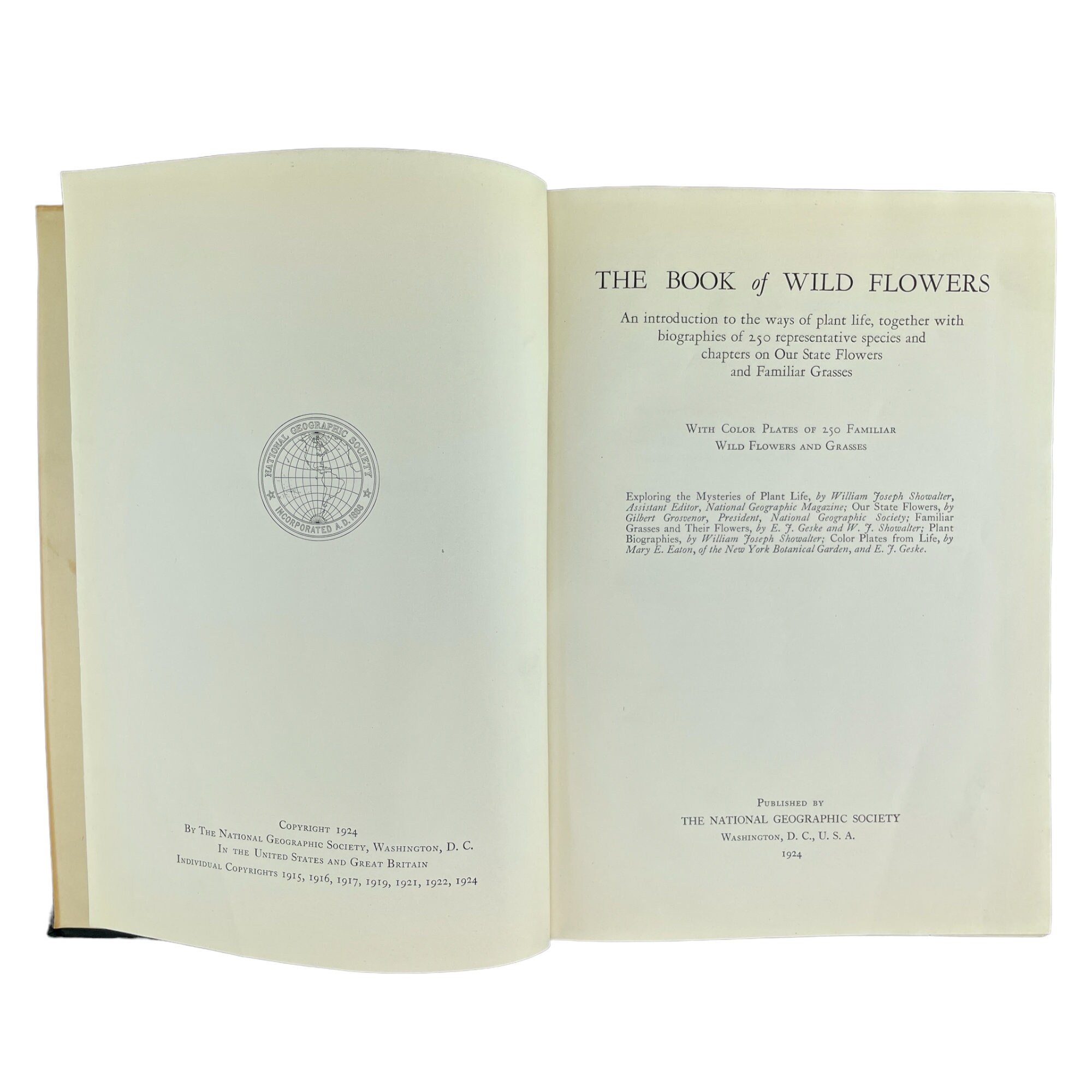 The Book of Wild Flowers, National Geographic Society, 1924, Vintage Wild Flower Guide, Beautiful Illustrations, Free Shipping - Etsy The Book of Wild Flowers, National Geographic Society, 1924, Vintage Wild Flower Guide, Beautiful Illustrations, Free Shipping - Etsy