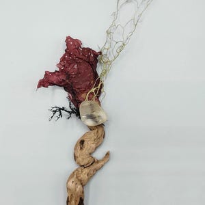 Peut inclure: Un collier unique composé d'éléments naturels. Il comprend un morceau de bois flotté, une pierre transparente, des algues rouges et une structure délicate en forme de filet. Le design est organique, avec des textures et des couleurs naturelles.