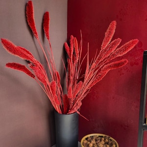 26&quot; Dried Red Setaria Bunch | Fall Decor | Red Floral Bunch | Ornamental Grass | DIY Floral Decor