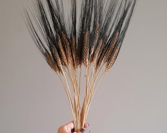 Dried Black Bearded Wheat Bundle: Rustic Fall Decor, Vase Filler