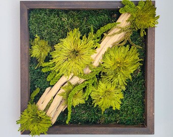 Preserved Moss Frame w Driftwood | Botanical Wall Decor | Living Wall | Moss Wall | Natural Decoration | Art | Maintenance-free | Floral