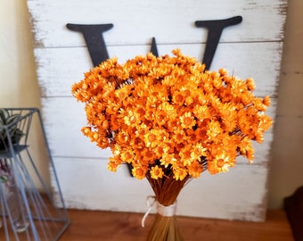 Star Flowers Dried | Fall Orange Star Flower | Tiny Mini Blush Daisy | Vase Filler | Boho Decor | Dried Florals | bright Orange | Wildflower