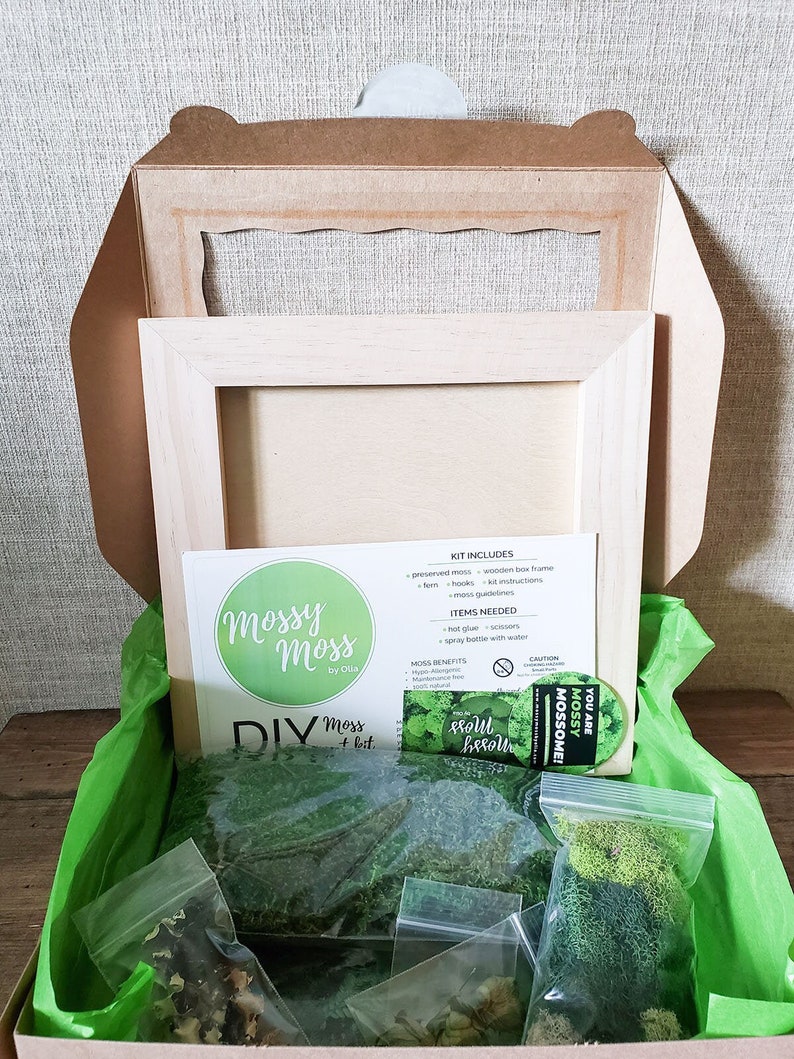 DIY Kit Wood Moss Wall Art & Decor Adult Craft Kit Moss Decor Birthday Day Gift Bring Outdoors Inside Craft Box Moss Frame DIY image 4