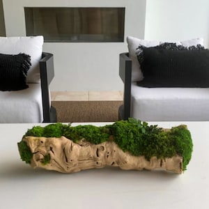 Moss Centerpiece | Grapewood log w Preserved Moss | Preserved Fern | Moss Decor | Moss Bowl | No Maintenance Required | Urban Jungle | Moss