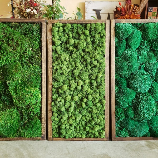 CUSTOM Moss Frames | Moss Art | Set of 3 or Individual | Preserved Greenery | No maintenance | Trendy Interior Decor | Office | Work space