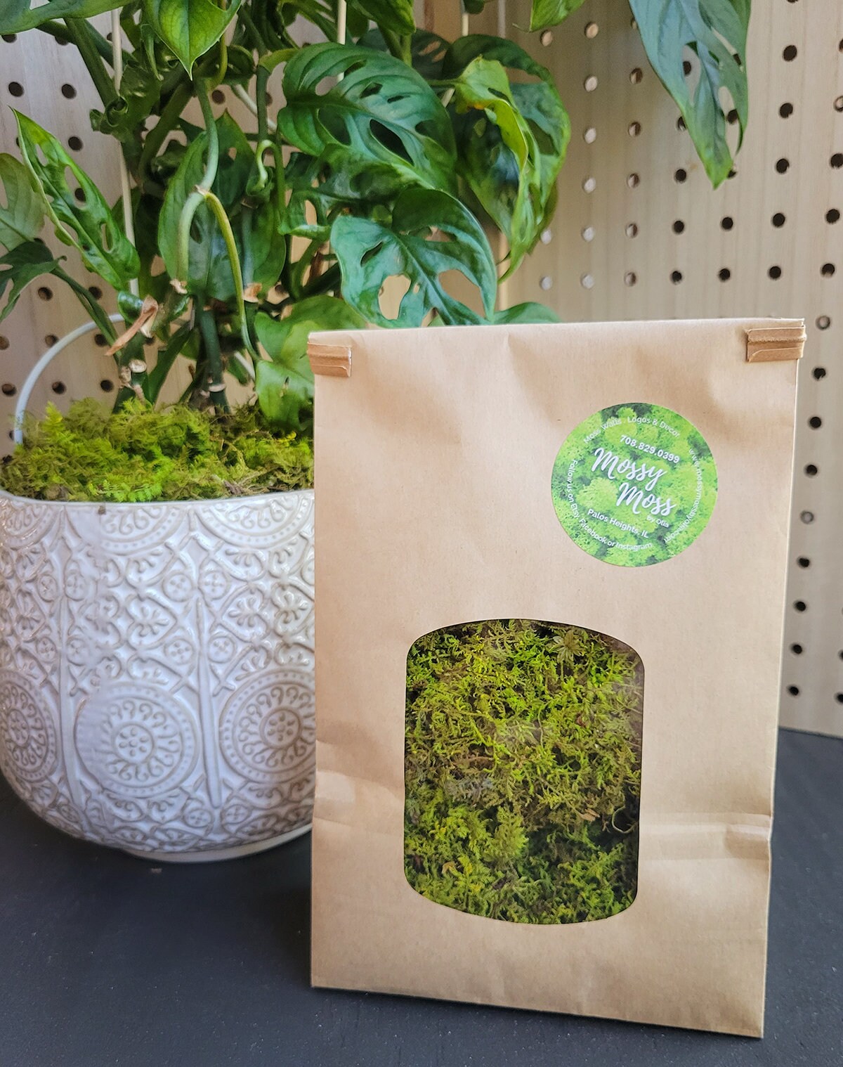 Moss Plant Topdressing Preserved Sheet Moss Top Dressing Etsy
