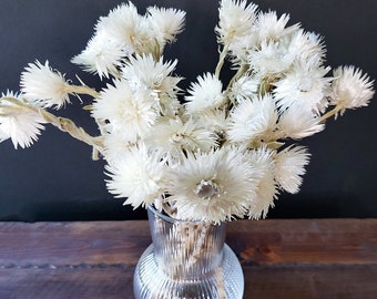 Dried White Everlasting Straw Flowers | Natural White Daisies | Dry Florals | Winter Snow White | Helichrysums | White Flower Arrangement