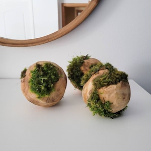 May include: Three wooden spheres with patches of vibrant green moss. The spheres are light brown with visible wood grain, creating a natural, rustic aesthetic. The moss adds a contrasting texture and color, enhancing the organic feel of the decorative objects.