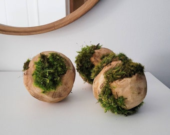 Wooden Moss Balls | Natural Wood Orb | Natural Decor | Moss Decor | Preserved Greenery | Nature Lover Gift for Her | Accent Decor