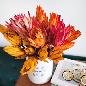 Dried Carnation, Flower Arrangement, Dried Decor, Natural Decorations –  Paintingforhome