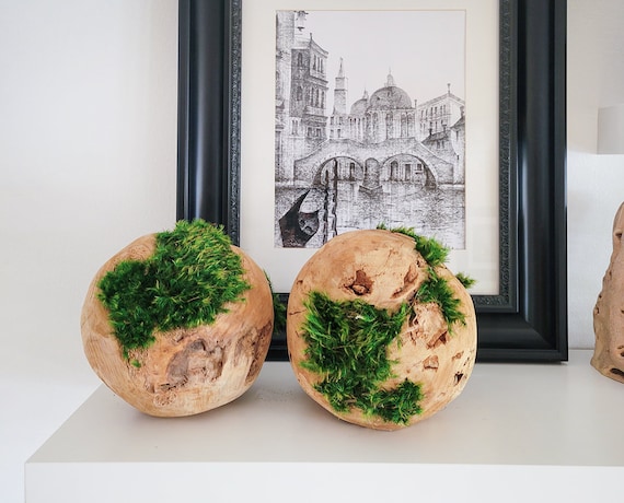 Wooden Moss Balls Natural Wood Orb Natural Decor Moss Decor Preserved  Greenery Nature Lover Gift for Her Accent Decor 