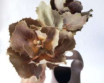 Dried Hakea Victoria | Queen Flower | Dried Flower | Bundle of 2 Stems | Boho Decor | Dry Florals | Rustic | Modern Flower | Australian