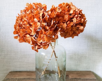 Preserved Hydrangeas Autumn Fall Colors | Dried Hydrangea | Orange Flower | Dried Flowers | Preserved Flowers | Jumbo Hydrangea | Home Decor